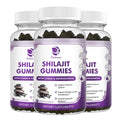 (3 Pack) Shilajit Gummies Pure Himalayan Shilajit with Ashwagandha Black Seed Oil Vitamin C D3 B12 & Zinc Sugar Free Shilajit for Men & Women Vegan & Non-GMO