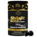 Pure Himalayan Shilajit Gummies - High Potency Gold Grade 100% Shilajit 75%+ Fulvic Acid for Energy Boost & Immune Support Travel-Friendly Tamarind Flavor - 60 Gummies