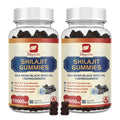 2Pack Shilajit Resin Gummies Shilajit Sea Moss Supplement with Black Seed Oil Ashwagandha Ginger Panax Ginseng Honey Shilajit Resin with 85+ Trace Minerals & Fulvic Acid for Energy Immune Health