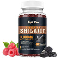 Shilajit Gummies 3000mg - Shilajit Pure Himalayan Organic for Men & Women 85+ Trace Minerals Shilajit Resin with Ashwagandha Maca Black Seed Oil - Energy Brain Immunity Sugar Free Raspberry 60ct